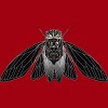 Men's Design By Humans Monochrome Cicada By Realkey T-Shirt - 2 of 4