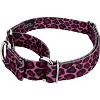 Country Brook Petz - Pink Leopard Martingale Dog Collar - image 2 of 4