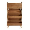 Chery Life Shoe Cabinet with 2 Door & 1 Drawer, Shoe Rack, Double Layer, Suitable for Entrance - 4 of 4