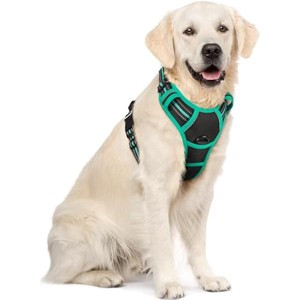 rabbitgoo Dog Harness No Pull with 2 Leash Clips, Control Handle for Large Dogs, Black & Turquoise, XL - 1 of 1