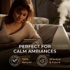 Sandalwood Essential Oils -Gya Labs Sandalwood Oils - 4 of 4