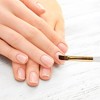Unique Bargains Flat-mouthed Nail Painting Brushes for Home DIY Gold Tone Clear White 1 Pc - 2 of 4