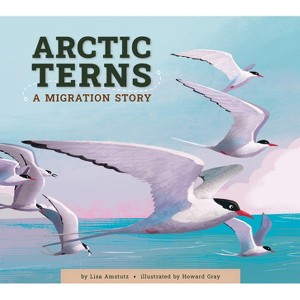 Arctic Terns - by  Lisa Amstutz (Paperback) - 1 of 1