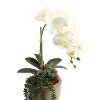 Floral Home 29" White Phalaenopsis Stem with 9 Flowers - 12-Piece - 3 of 4