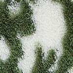 dark green