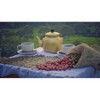Premium Kopi Campur (Kopi Luwak) From Indonesia Wild Palm Civets Coffee Beans, Medium Roast, 250 Grams - 2 of 4