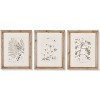 Plum & Post Botanical Illustrations Set of 9 - 4 of 4