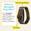 Country Brook Petz HossFit Wide Martingale Dog Collar Collection - 2 of 4