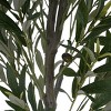 KTMBDW Olive Trees Artificial Indoor, Tall Faux Olive Tree, Artificial Plants with Natural Wood Trunk and Lifelike Fruits for Home Office Decor - 3 of 4