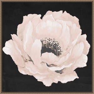 30"x30" Pink Flower on Black II by Elizabeth Medley Framed Canvas Wall Art Print Bronze - Amanti Art: Modern Botanical Lithograph - 1 of 4
