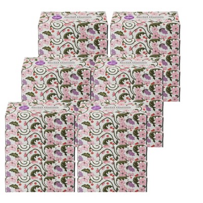 Natural Value Unscented White Facial Tissue 2-Ply - Case of 30/100 ct