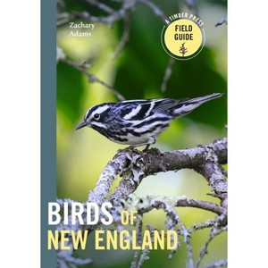 Birds of New England - (Timber Press Field Guide) by  Zach Adams (Paperback) - 1 of 1