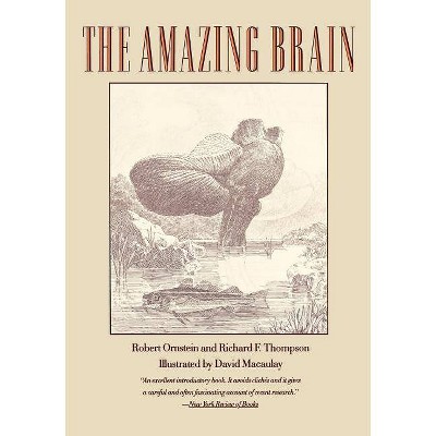 The Amazing Brain - by  Robert Ornstein & Richard Thompson (Paperback)