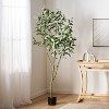 Gulches 78 Inch Artificial Eucalyptus Bonsai Plants, Pre Potted for Hassle Free Decor, Ideal for Indoor Gardens, Living Rooms & Bedrooms - 4 of 4
