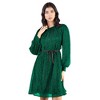 Artyska Women's Crewneck Shimmer Balloon Sleeve Tie-Waist Dress - 4 of 4