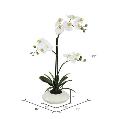 Elegant 25" White Orchid in Ceramic Pot Centerpiece