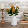 Allstate Floral Two-Tone Kalanchoe Artificial Floral Bush Spray - 14" - Orange - 2 of 4