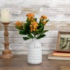 Allstate Floral 14" Amber Kalanchoe Artificial Silk Floral Bouquet - image 2 of 4