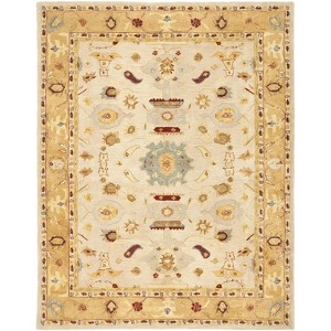 Anatolia AN543 Hand Tufted Indoor Rug -Safavieh - 1 of 4