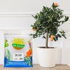 Soil Sunrise 100% Natural Pine Bark Mulch, for Container Gardening, Soil Supplement, Houseplants, Terrariums - 2 of 4
