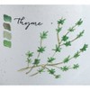 Porcelain Farm To Table Thyme Herb Jar - Rosanna - 3 of 3