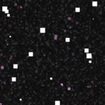 detroit tigers 1961-1963