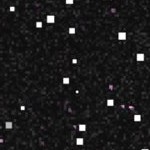 detroit tigers 1961-1963