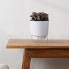 Bloem Hopson Round Resin Planter Pot with Metal Stand Indoor and Outdoor Gardening - 2 of 4