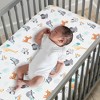 Lambs & Ivy Mighty Jungle Fitted Crib Sheet : Target