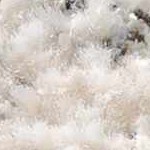 cream, light gray, charcoal, medium gray, peach