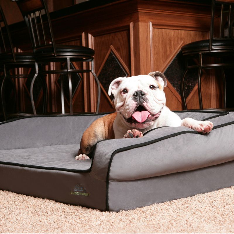 BuddyRest Crown Supreme Memory Foam Dog Bed, 3 of 8