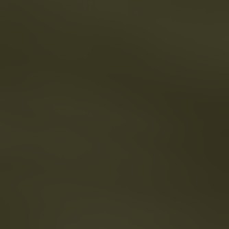 99020-olive