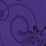 dark violet scroll