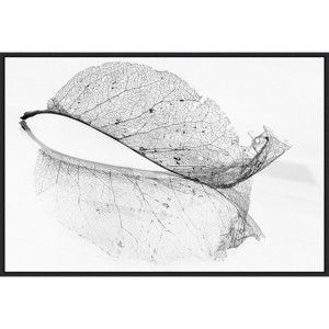 33" x 23" The Old Leaf by Katarina Holmstrom Framed Canvas Wall Art Print - Amanti Art: Modern Botanical Lithograph, Polystyrene Frame - 1 of 4