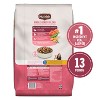 Nutrish Gentle Digestion with Real Salmon, Veggies & Brown Rice Dry Dog Food - 2 of 4