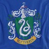 Men's Harry Potter Slytherin Crest T-Shirt - 2 of 4