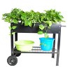 Mobile Metal Raised Garden Bed Cart with Legs, Elevated Tall Planter Box with Wheels for Outdoor Indoors House Patio Backyard Vegetables Tomato DIY - 3 of 4