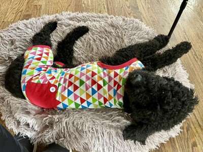 Colorful Triangle Print Dog Pajamas - Xl - Wondershop™ : Target