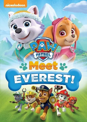 target everest paw patrol