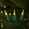 Novelty Lights 11 Feet 50 Bulbs Incandescent Mini Lights, Green Wire with 2.5" Spacing, UL Listed for Indoor/Outdoor Use, Connectable - 4 of 4