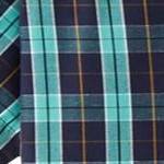 tidal green plaid