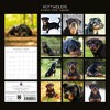 2026 Square Wall Calendar, Rottweiler, 16-Month Paw Prints Theme with 180 Reminder Stickers (12x12 In) - 4 of 4