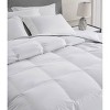Sleep Climate Twin 233 Thread Count Feather and Down Blend Comforter: 80% Cotton, 20% Polyester, Dry Clean Only - 3 of 4
