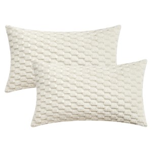 REGALWOVEN Soft Fuzzy Plush Decorative Throw Pillow Covers for Sofa Couch Bed Living Room 2 Pcs - 1 of 4