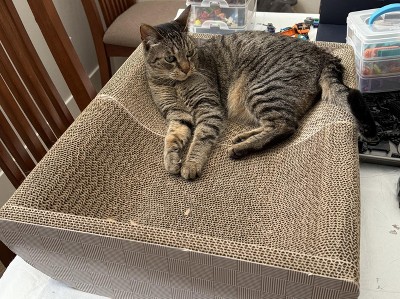 Guest review image 1 of 1, zoom in