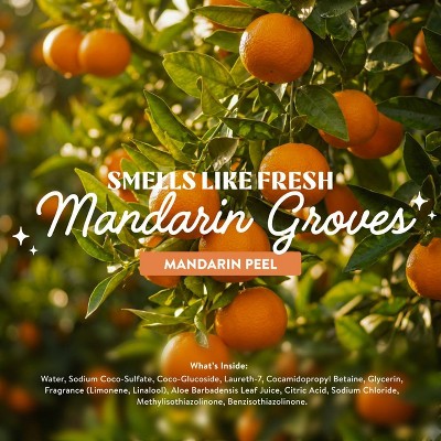 Clean Cult Mandarin Peel Liquid Dish Soap Refills - 32 fl oz: Carton, Removes Grease, Ceramic Dishes
