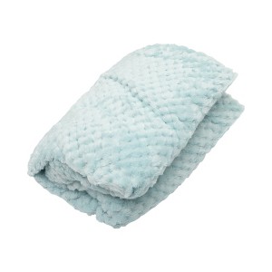 Unique Bargains Blanket Mesh Pineapple Pattern Coral Fleece Polyester 28"x39" - 1 of 4