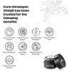 Pure Himalayan Shilajit, Soft Resin, Ayurvedic Rasayana Rejuvenation, Natural Source of Fulvic Acid, Includes Measuring Spoon - 15 ml / 0.5 fl oz  15 - 2 of 4
