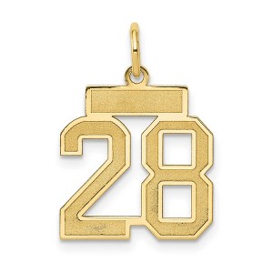 Black Bow Jewelry 14k Yellow Gold, Jersey Collection, Small Number 28 Pendant - 1 of 4