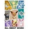 Men's Pokemon All About Eevee Eeveeloution Long Sleeve Shirt - 2 of 4